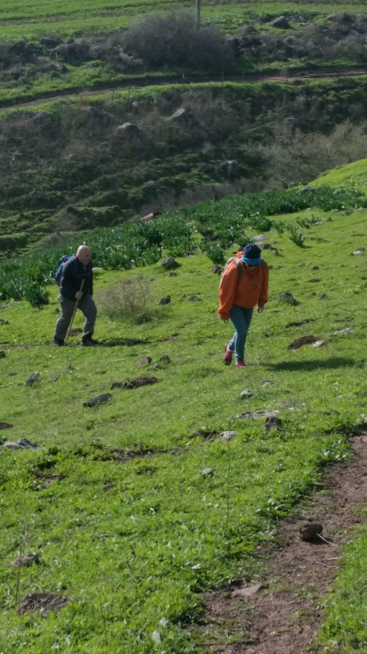 קרוואן להשכרה